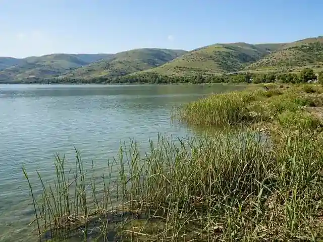 Niveau d'eau du lac Kinneret